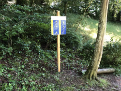 Unterhalt Vitaparcours Juni 2022_2