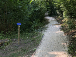 Unterhalt Vitaparcours Juni 2022_4