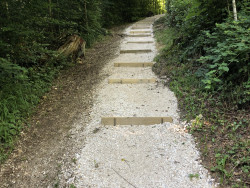 Unterhalt Vitaparcours Juni 2022_5