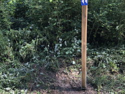 Unterhalt Vitaparcours Juni 2022_7