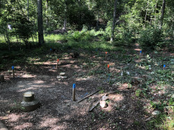 Unterhalt Vitaparcours Juni 2022_9