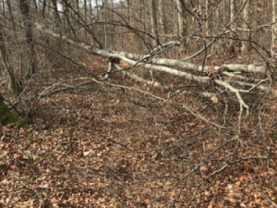 Vita Pracours 2020_4