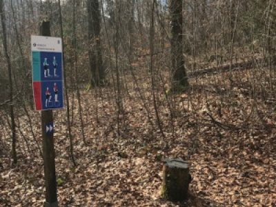 Vita Pracours 2020_9