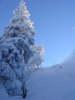 Hasenmatt_30.01.05_006